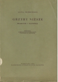 Grzyby niższe pragrzyby i glonowce