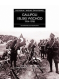 Gallipoli i Bliski Wschód 1914-1918: Od Dardaneli do Mezopotamii