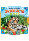 Maluch poznaje zwierzęta w zoo