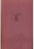 Daisy Miller wychowanek łgarz bestia w dżungli