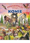 Poszukiwacze na tropie. Konie