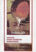 Analiza stanu warstwy wierzchniej odlewu z żeliwa szarego