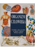 Organizm człowieka
