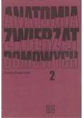 Anatomia zwierząt domowych 2