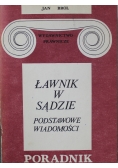 Ławnik w sądzie Podstawowe wiadomości