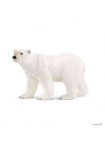 Niedźwiedź polarny