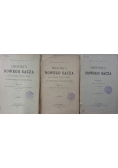 Historia Nowego Sącza, tomy I - III, 1901-1902