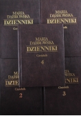 Dzienniki Tom I do V