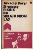 Piknik na skraju drogi. Las.