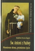 Św. Antoni z Padwy: Płomienne słowa, promienne życie