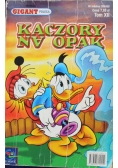 Kaczory na Opak