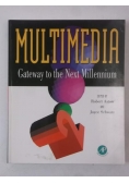 Multimedia. Gateway to the Next Millennium