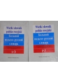 Wielki słownik polsko  rosyjski 2 książki
