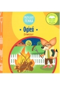 Ogień Przygody Fenka