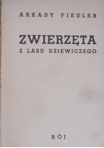 Zwierzęta z lasu dziewiczego, 1938 r.