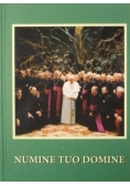 Numine Tuo  Domine