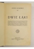 Dwie łąki, 1908 r.
