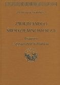 Zwierciadło Śródziemnomorza. Rozmowy z Zygmuntem Kubiakiem