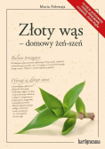 Złoty wąs domowy żeń szeń