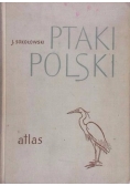 Ptaki Polski. Atlas