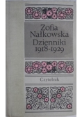 Dzienniki III 1918-1929