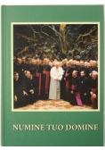 Numine Tuo Domine