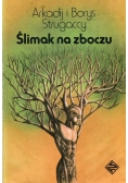 Ślimak na zboczu