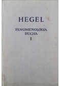 Fenomenologia ducha Tom I