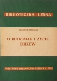 O budowie i życiu drzew