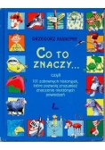 Co to znaczy...