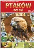 Atlas. Ilustrowana Encyklopedia ptaków Polski