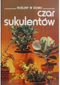 Rośliny w domu: Czar sukulentów