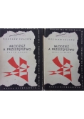 Młodzież a przestępstwo 2 Części