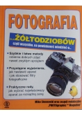 Fotografia dla żółtodziobów czyli wszystko, co powinieneś wiedzieć o ...