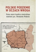 Polskie Podziemie w oczach wroga