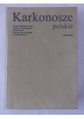 Karkonosze polskie