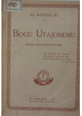 Bogu utajonemu, 1923 r.