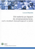 Od walenia po łapach do zmarszczenia brwi czyli o środkach dyscyplinujących w szkole