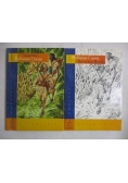 Robinson Crusoe w oryginale + Activity Book + Audiobook