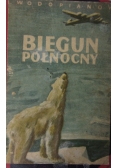 Biegun północny