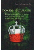 Portrety polskich władców w Chronicon Polonorum