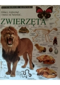Zobacz rozpoznaj i naucz się nazywać zwierzęta