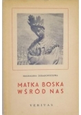 Matka Boska wśród nas