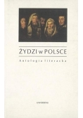 Żydzi w Polsce  Antologia literacka