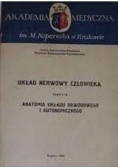 Układ nerwowy człowieka