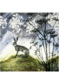 Karnet kwadrat z kopertą Hare and Hogweed