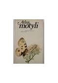 Atlas motyli