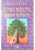 Drzewa magiczne drzewa lecznicze