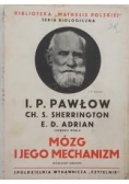 Mózg  i jego mechanizm, 1945r.