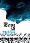 Łzy w deszczu, nowa